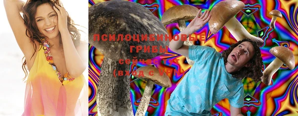 PSILOCYBIN Балабаново